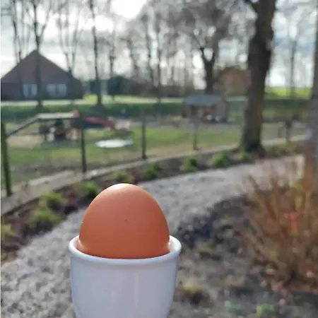 Landelijk Met Uitzicht, Bij Amsterdam Apartment